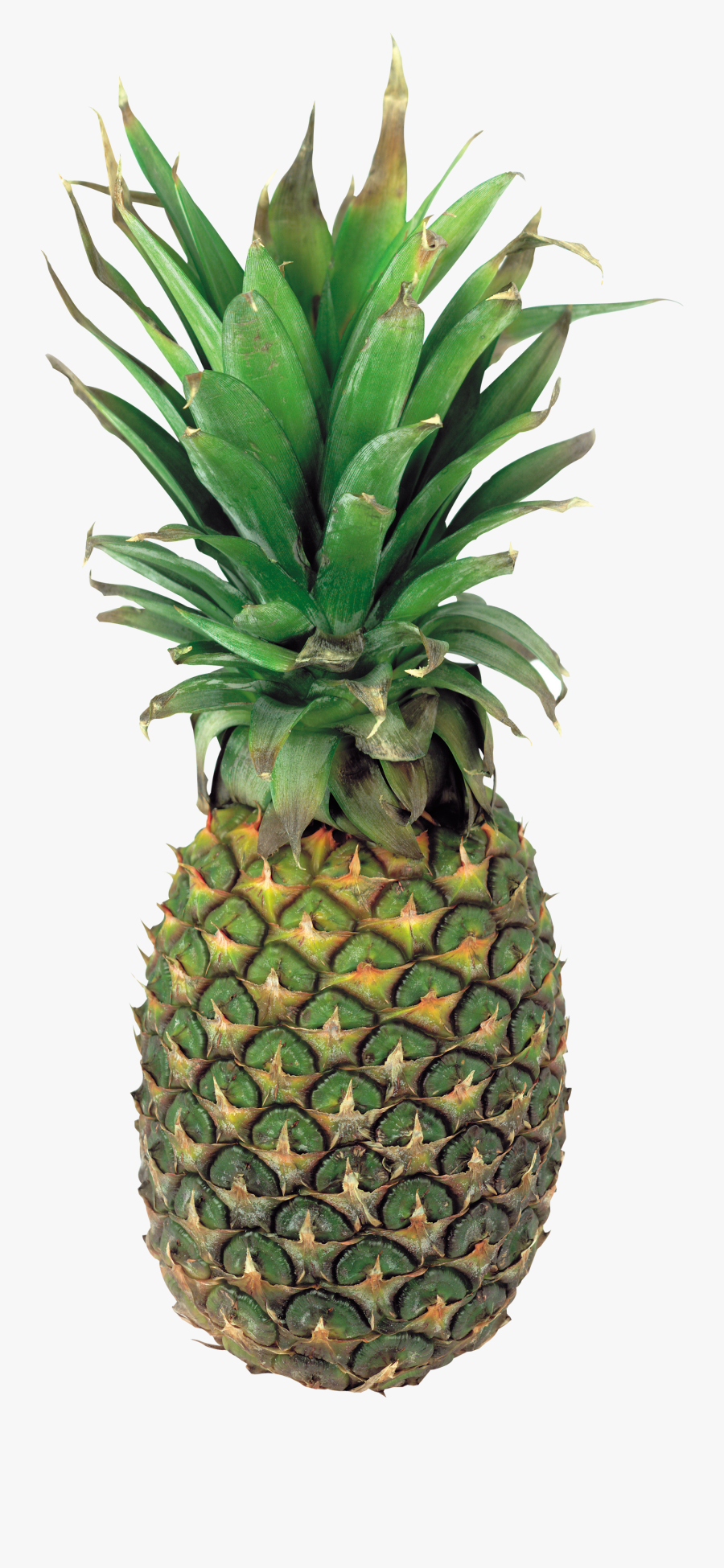 Green Pineapple Png, Transparent Clipart