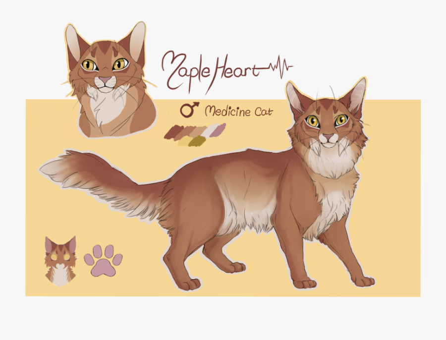My Tom Who Represents Warrior Cat Toms , Free Transparent Clipart ClipartKey