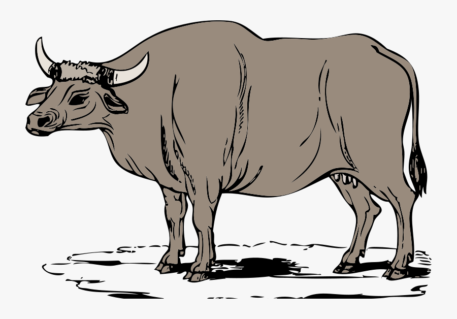 Ox Clipart Free - Ox Clip Art, Transparent Clipart