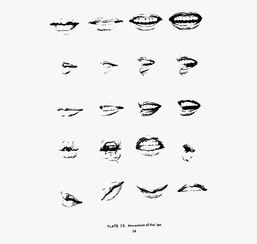 Realistic Mouth Expressions Drawing, Transparent Clipart
