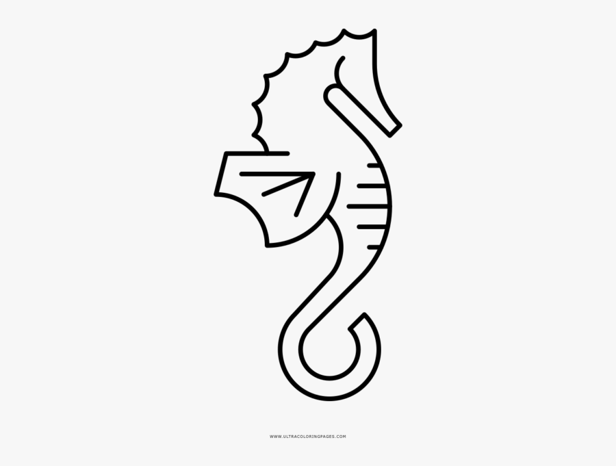 Northern Seahorse, Transparent Clipart