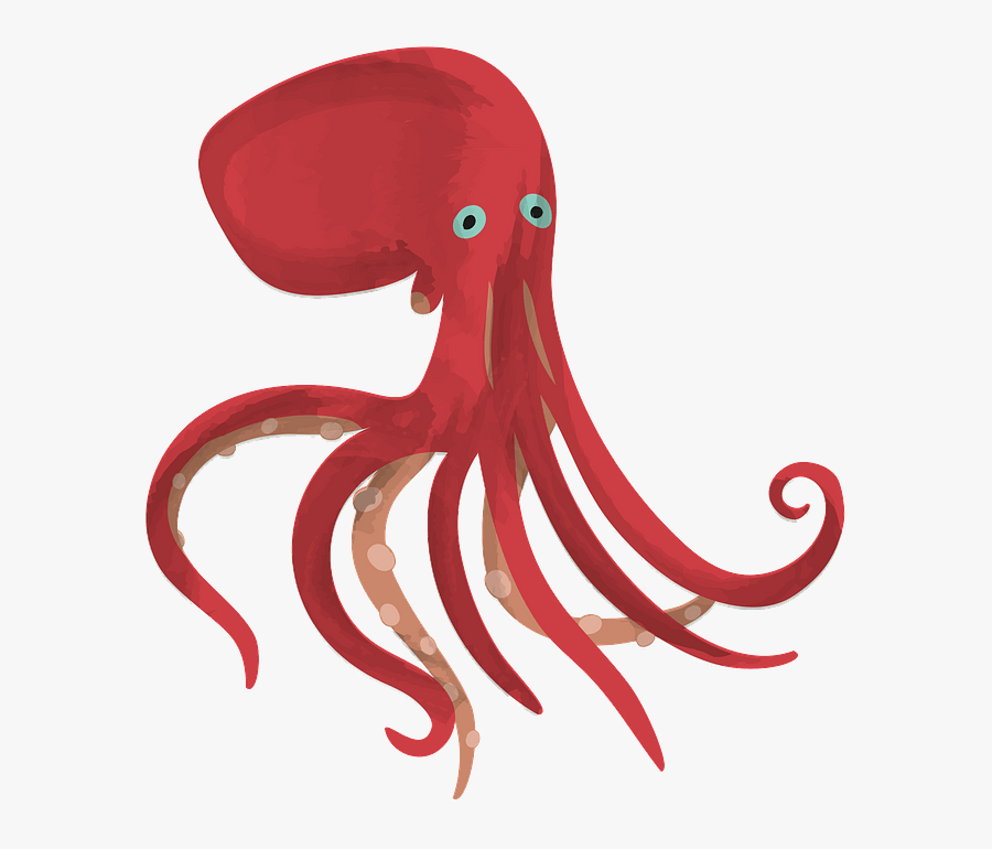 Octopus, Transparent Clipart