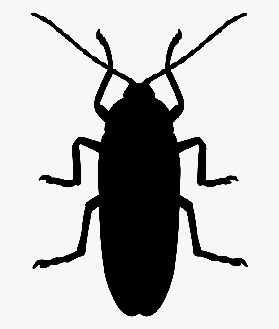Cockroach Mosquito Beetle Silhouette Pest - Black Cockroach Silhouette, Transparent Clipart