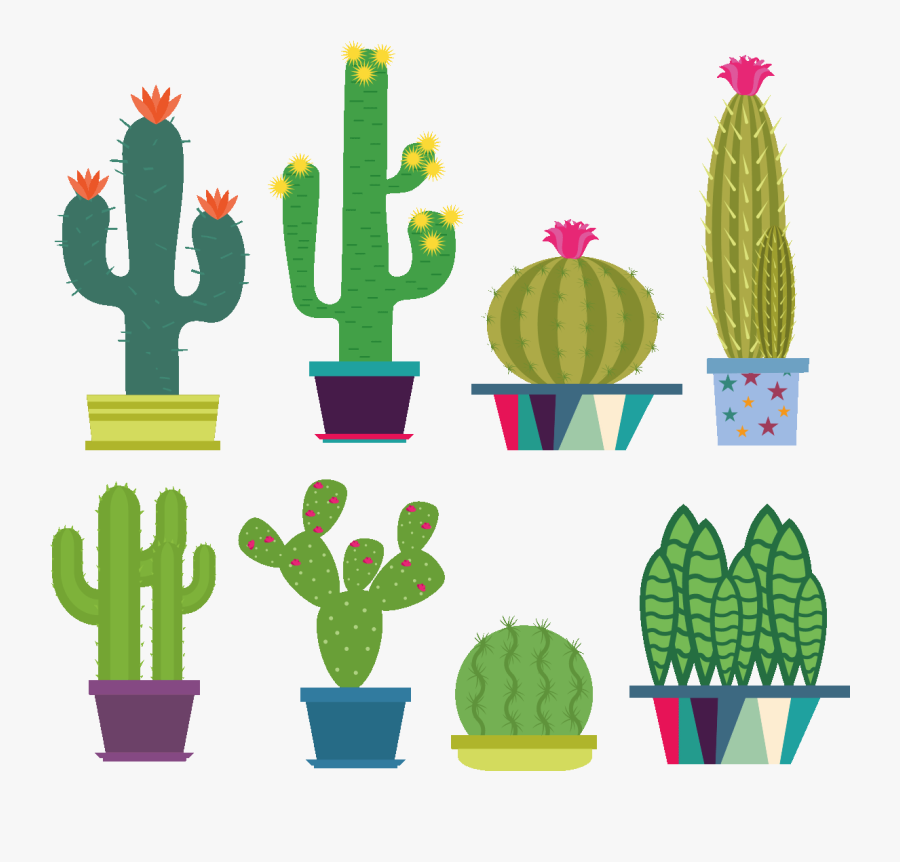 Cactus Fleuris, Transparent Clipart