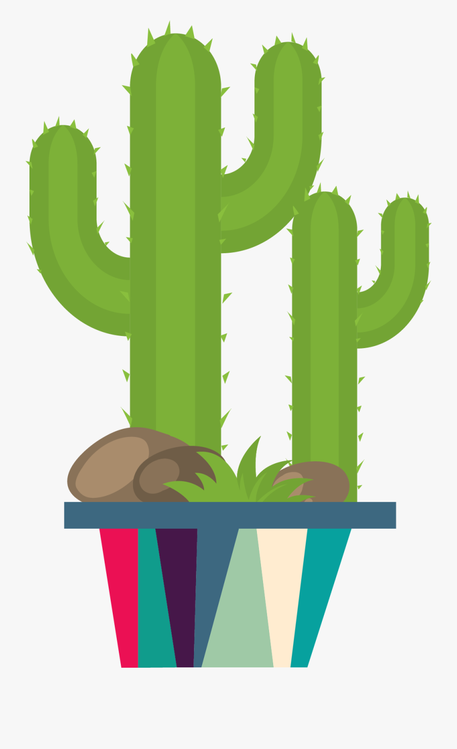 Acanthocereus Tetragonus, Transparent Clipart