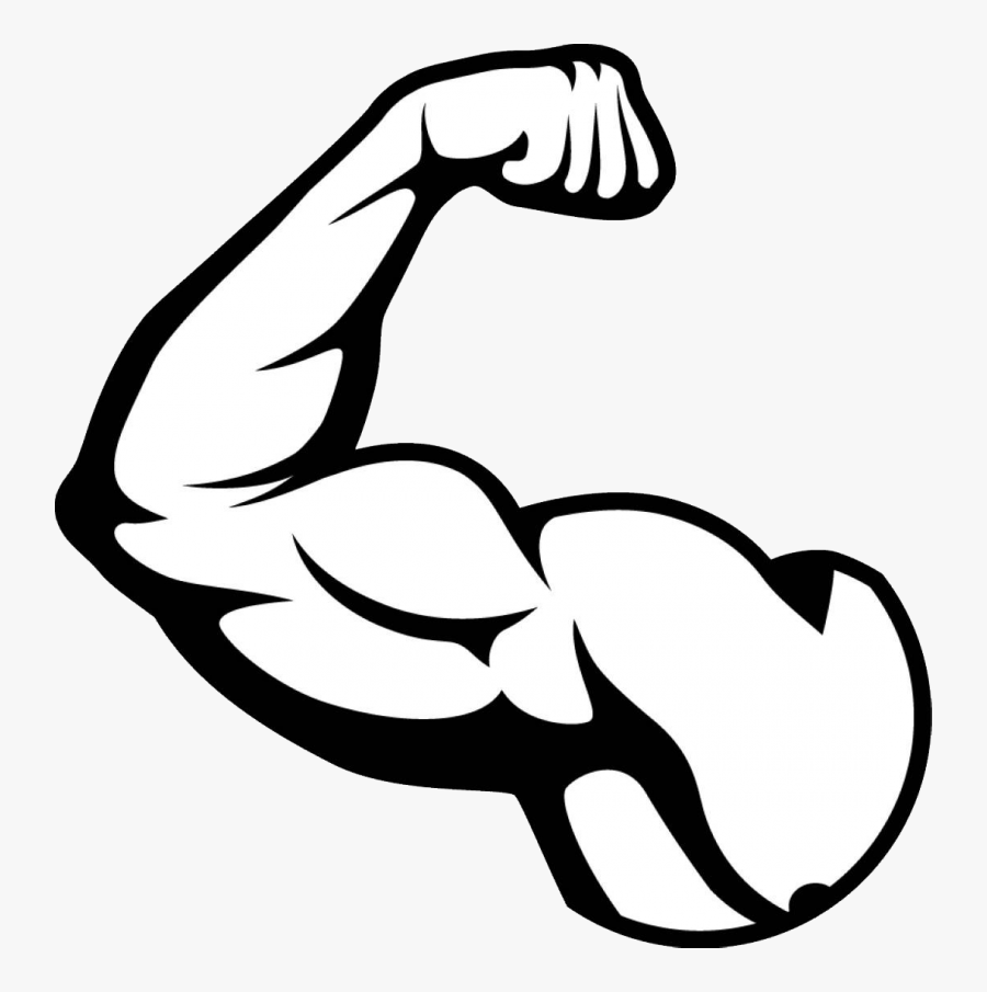 Muscle Png Image - Muscle Clipart, Transparent Clipart