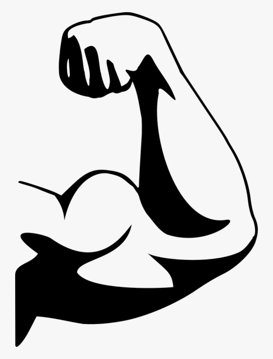 Muscle Png Image - Biceps Clipart, Transparent Clipart