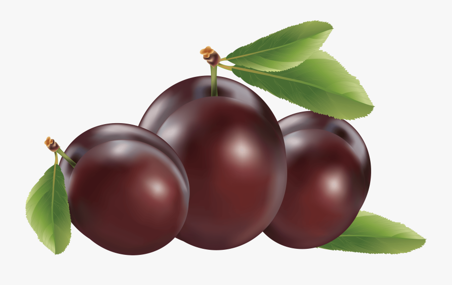 Fruit For Slimming - Plums Clipart Png, Transparent Clipart