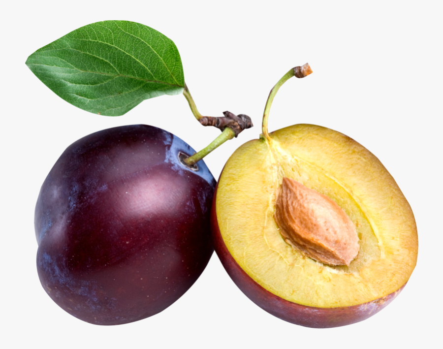 Plum Clipart Coloring - Plum Png, Transparent Clipart
