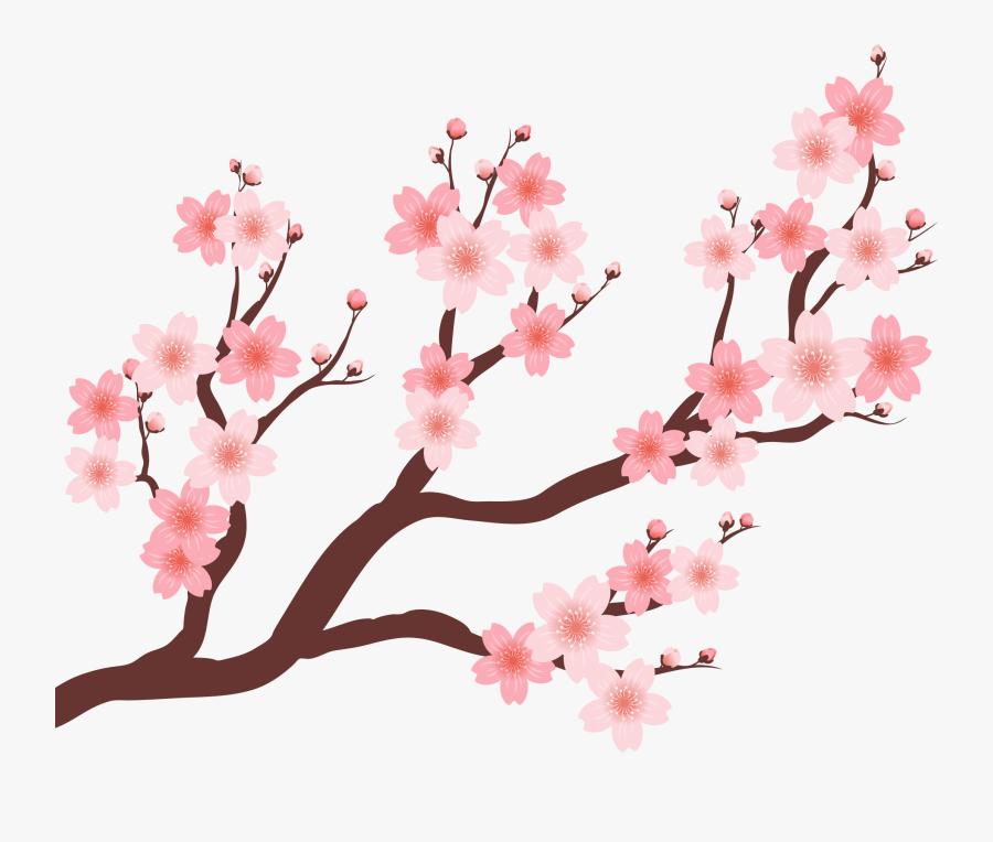 Collection Of Free Vector Trees Plum Blossom Download - Vector Cherry Blossom Tree Png, Transparent Clipart