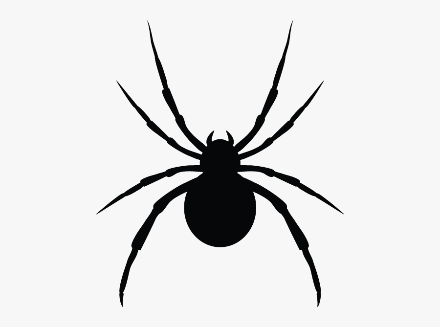 Pest Removal From Minnesota Kitchen - Wolf Spider, Transparent Clipart