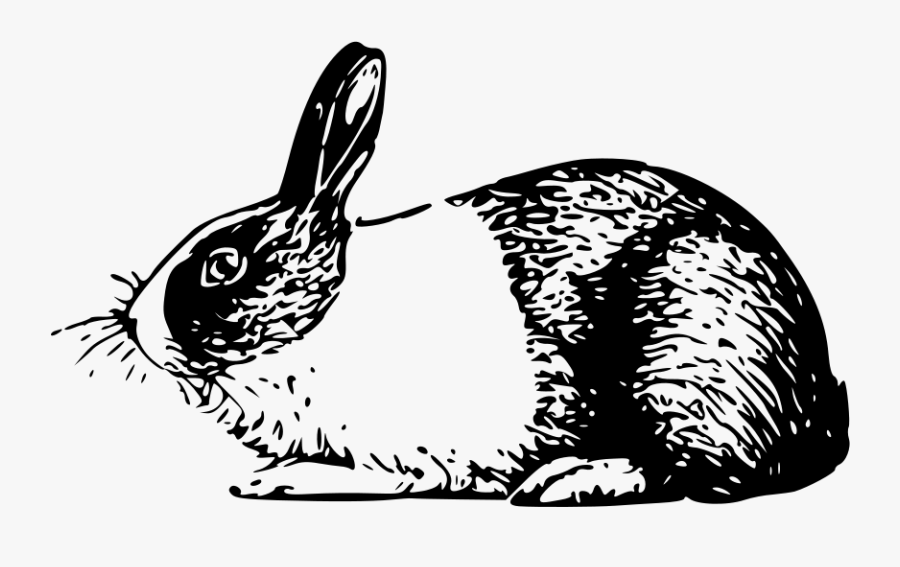 Rabbit Clipart Black And White, Transparent Clipart