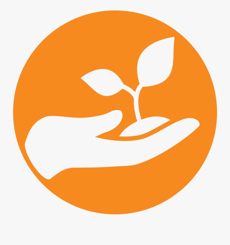 Coffee Orange, Transparent Clipart