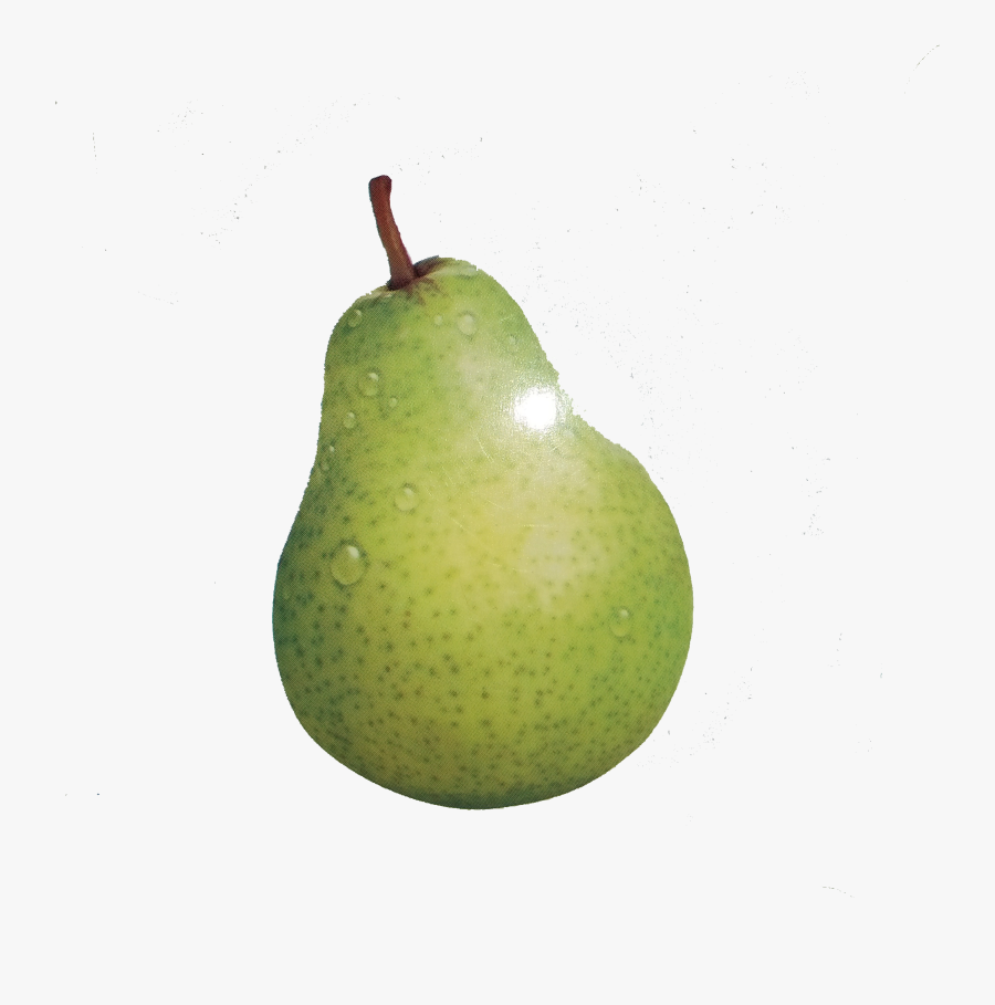 European Pear Fruit - Pear, Transparent Clipart