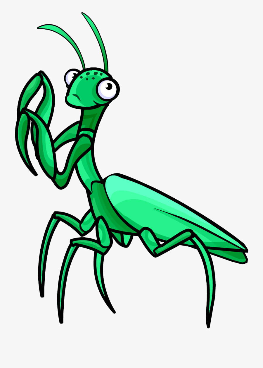 Mantis Png - Praying Mantis Clipart Png, Transparent Clipart
