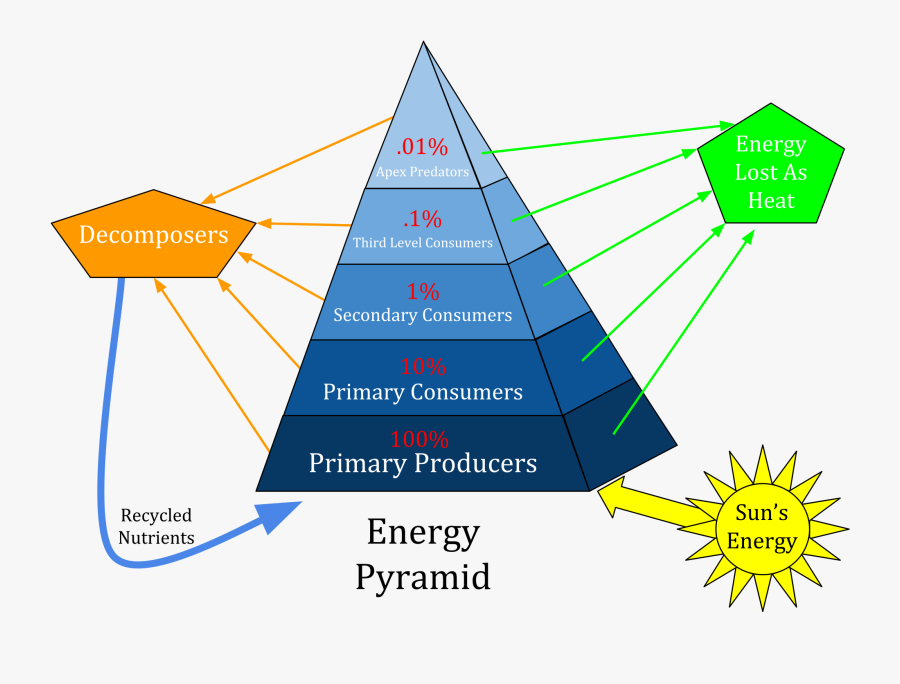 Energy Pyramid, Transparent Clipart