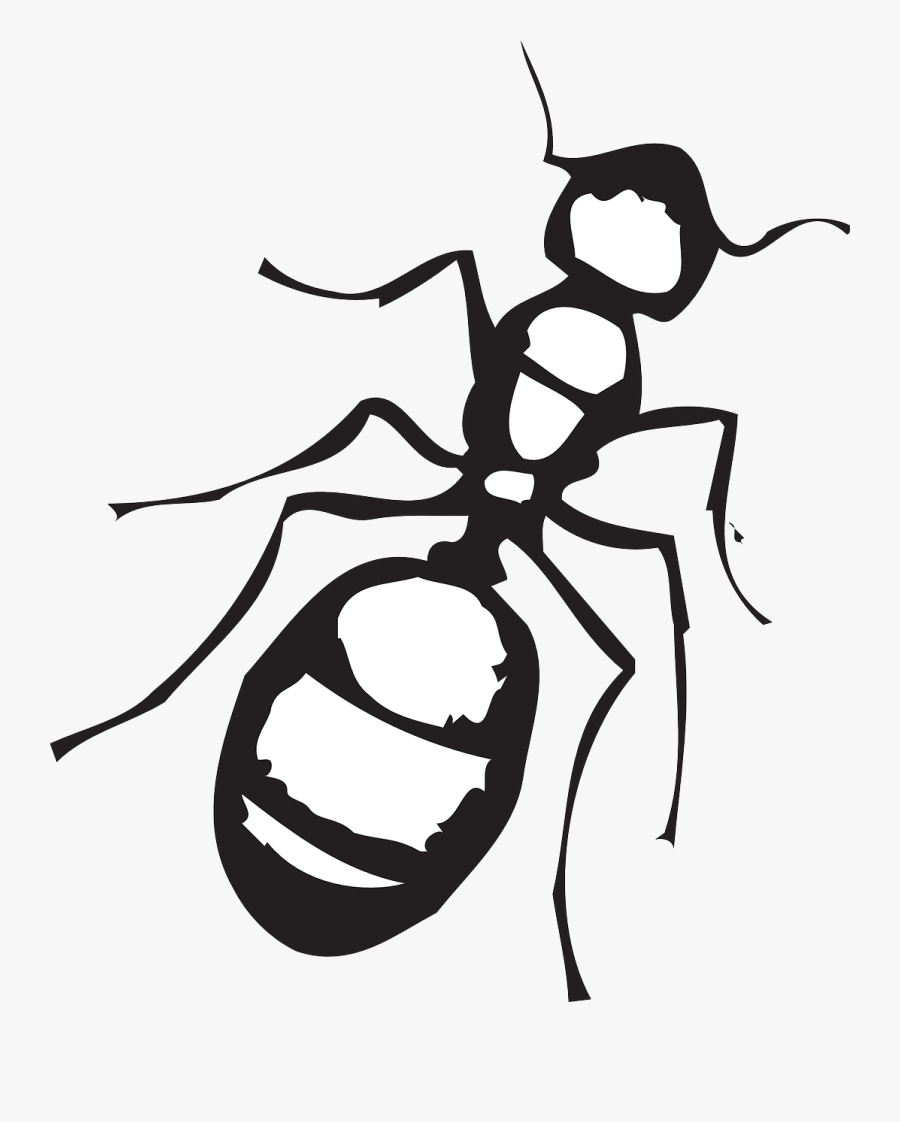 Transparent Spinning Top Clipart - Ant Clipart Black And White, Transparent Clipart