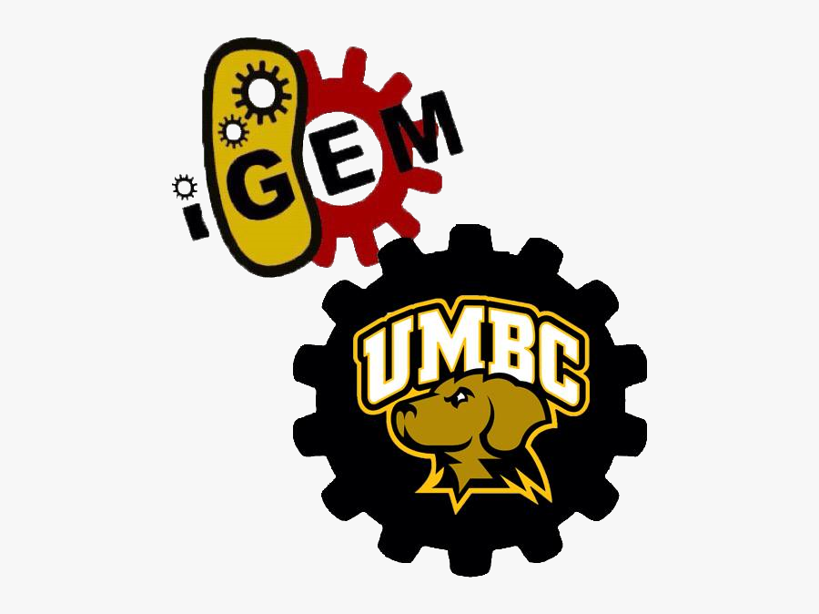 University Of Maryland, Baltimore County, Transparent Clipart