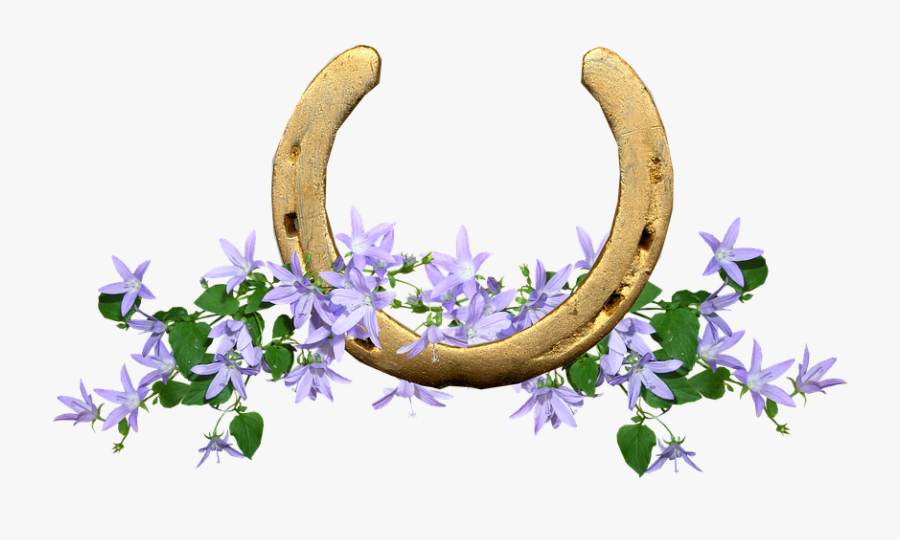 Bellflower, Transparent Clipart