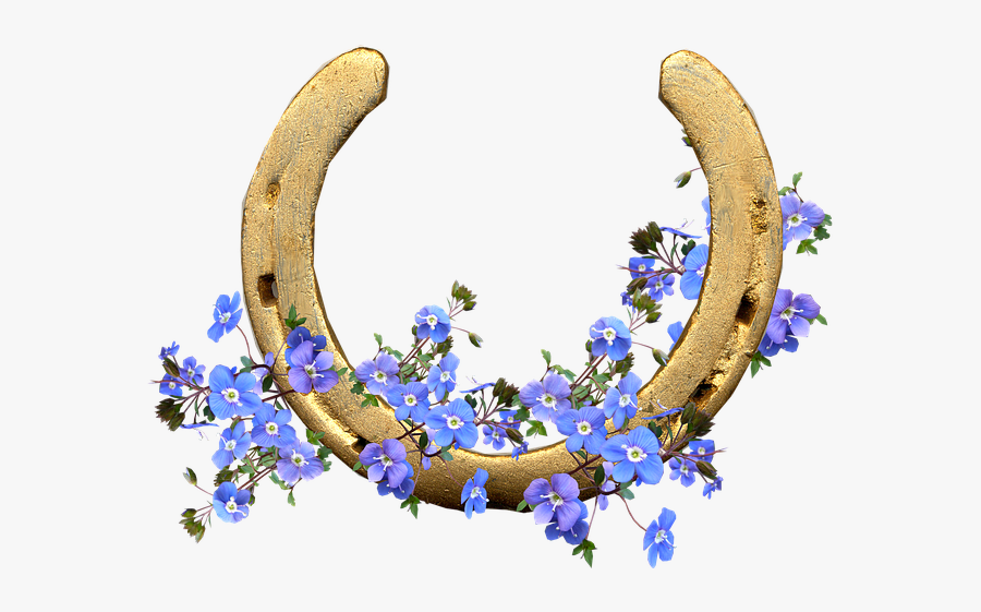 Horse Shoe With Flowers, Transparent Clipart
