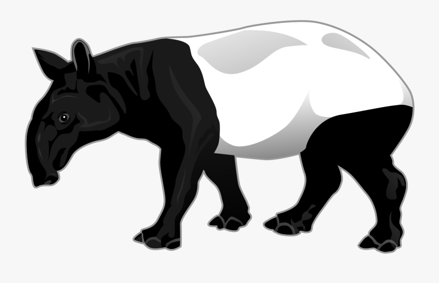 Transparent Species Clipart - Tapir Clipart, Transparent Clipart