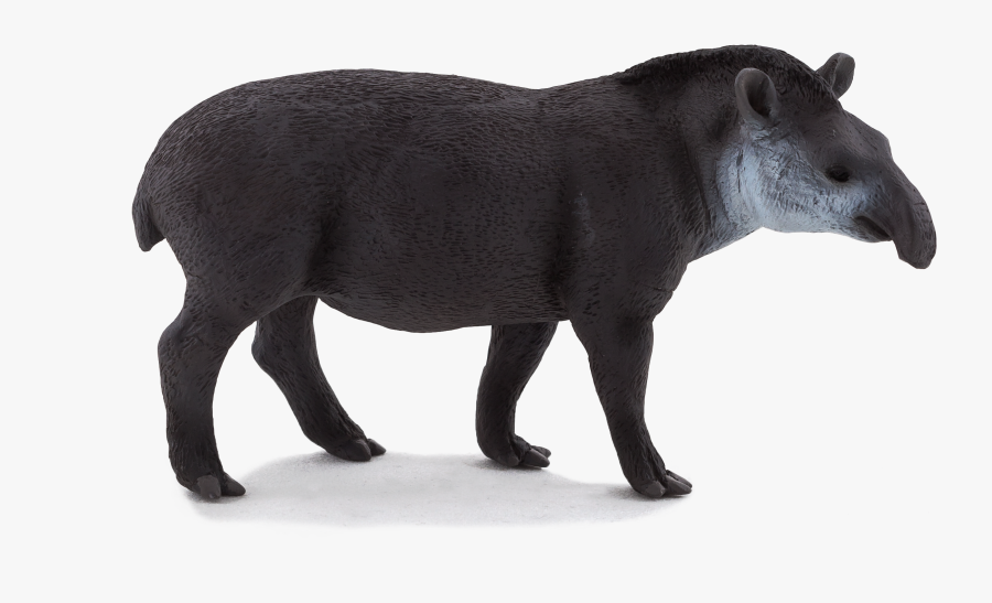 Brazilian Tapir Mojo Disney Wild About Safety App Disney - Tapir Png, Transparent Clipart
