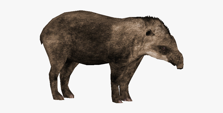 Thumb Image - Tapir, Transparent Clipart