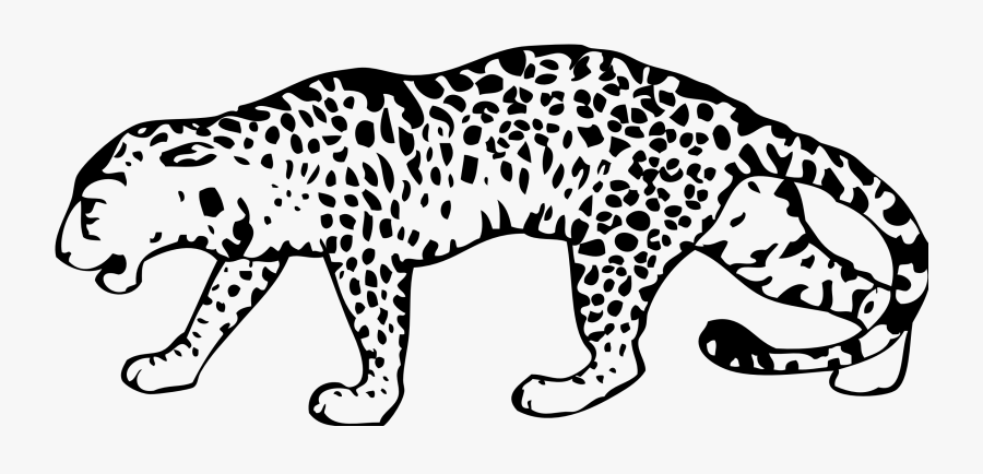 Leopard Image In Black And White, Transparent Clipart