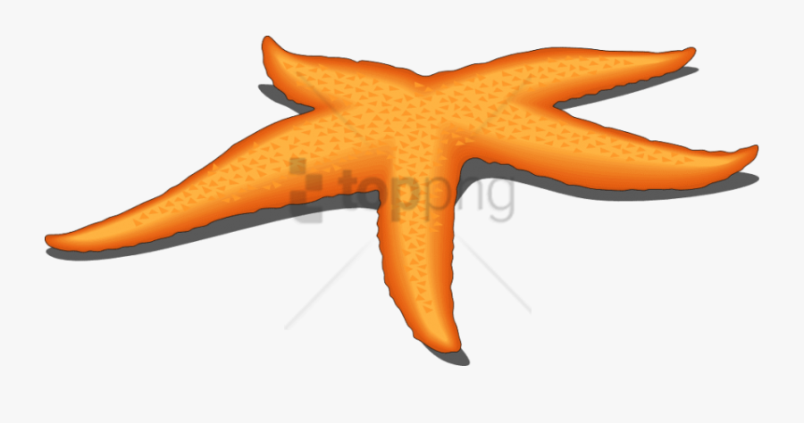 Free Png Starfish Png Png Image With Transparent Background - Vector Star Fish Png, Transparent Clipart