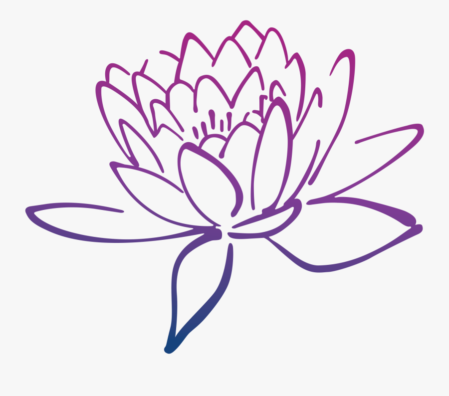 Brahma Kamal Flower Drawing, Transparent Clipart