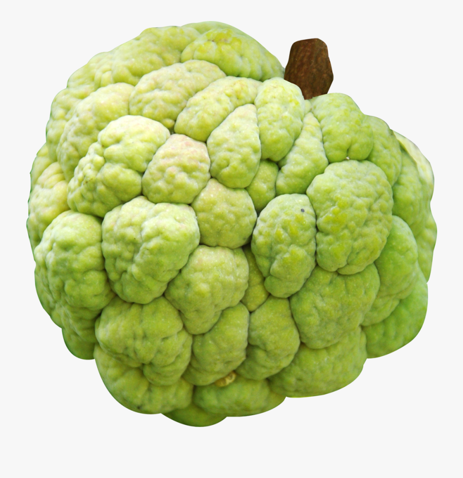 "
										 Title=" - Custard Apple Clipart, Transparent Clipart