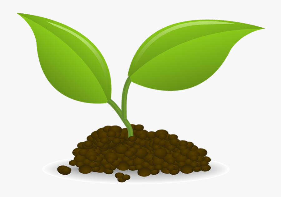 Plant Sowing Seedling Clip Art - Seedling Clipart, Transparent Clipart