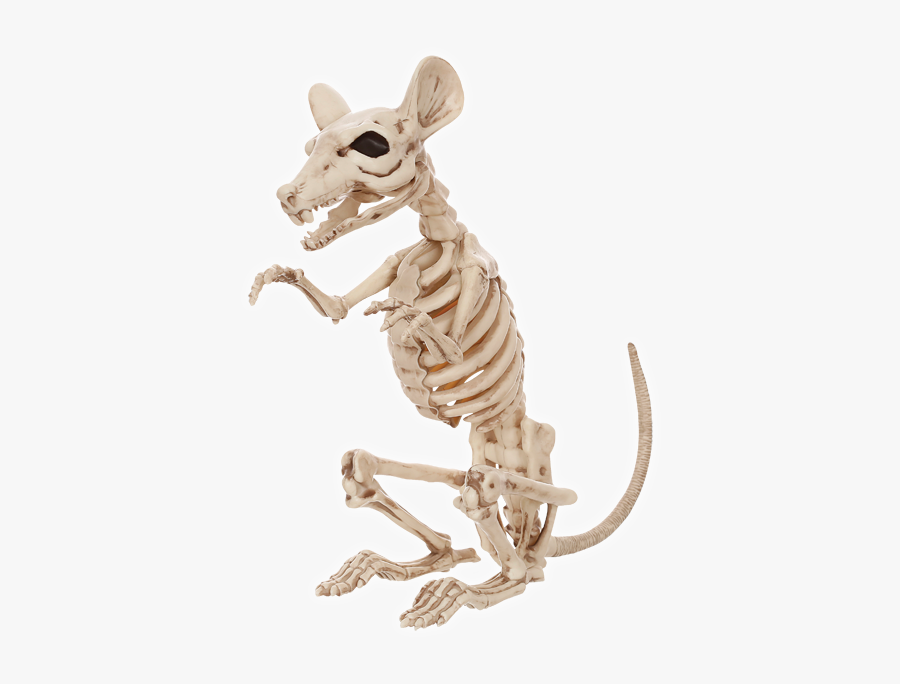 Crazy Bonez Skeleton Rat - Rats Skeleton, Transparent Clipart