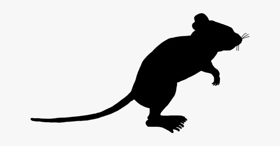 Rat Computer Mouse Silhouette Clip Art - Animal Rat Silhouette Png, Transparent Clipart