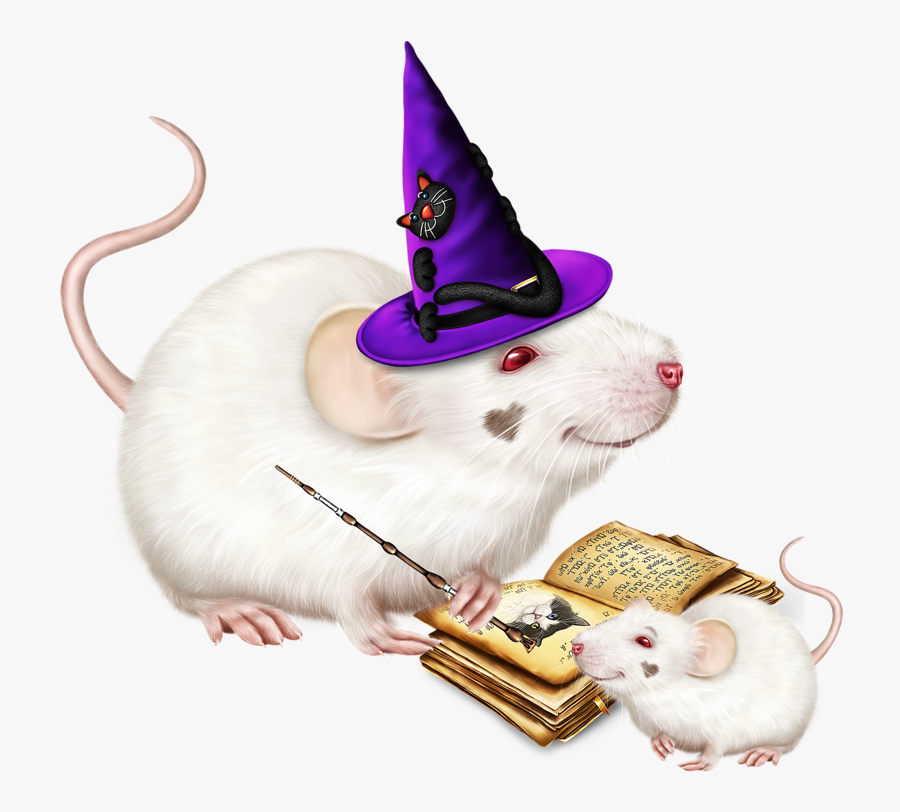 Hamster Clipart Forest Animal - Clip Art, Transparent Clipart