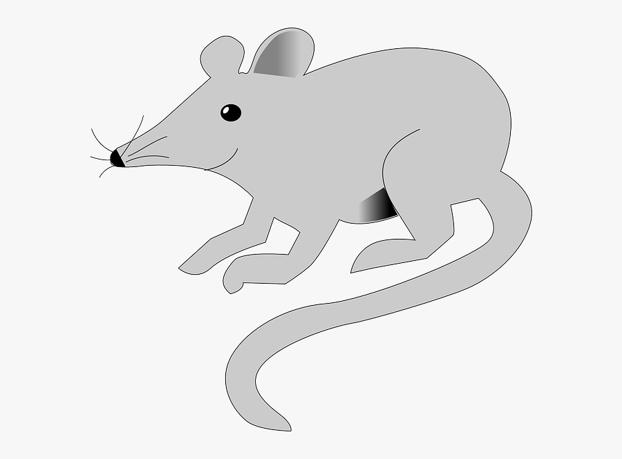 Clipart Cute Mouse, Transparent Clipart