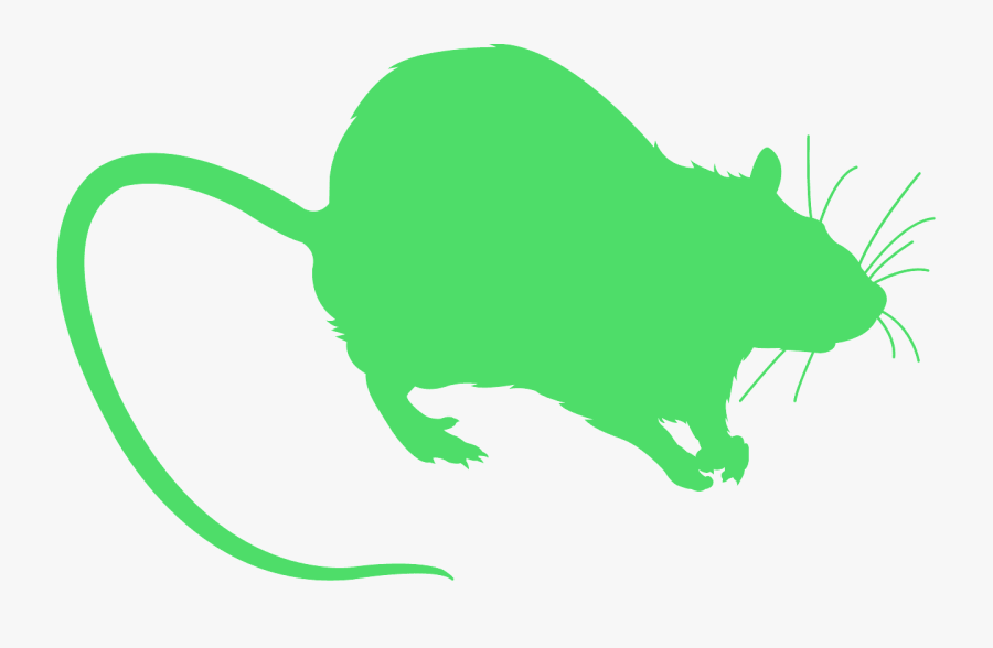 Vector Graphics, Transparent Clipart