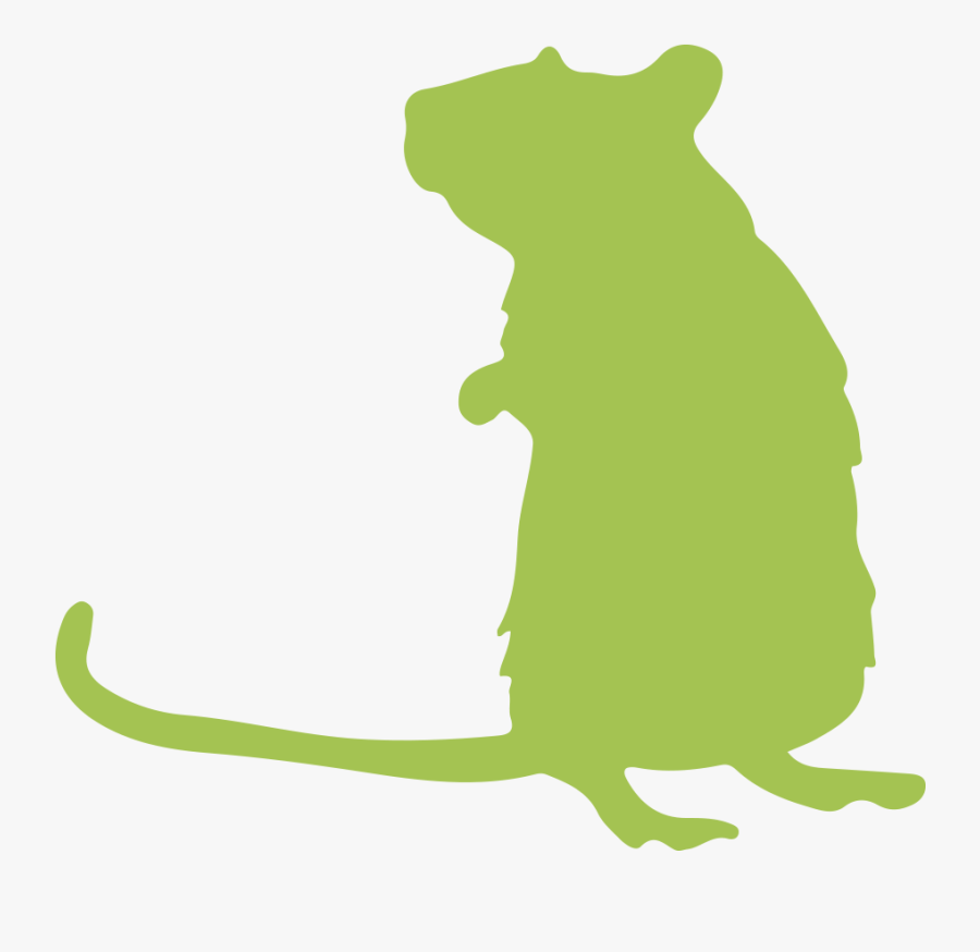 Fancy Rats » - Illustration, Transparent Clipart