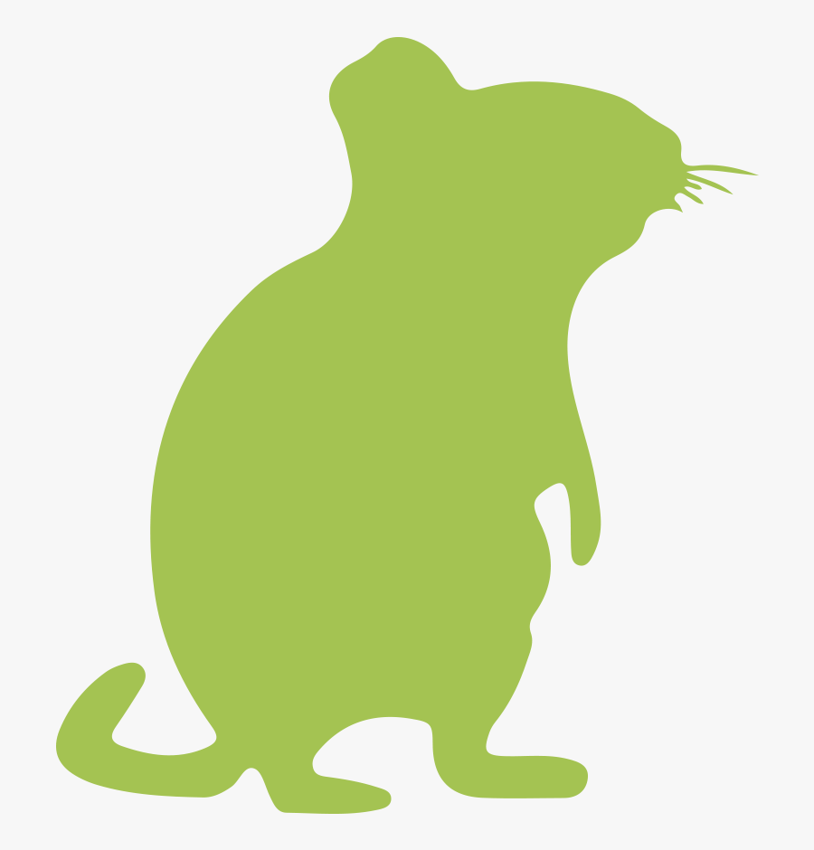 Other Rodents » - Rat, Transparent Clipart