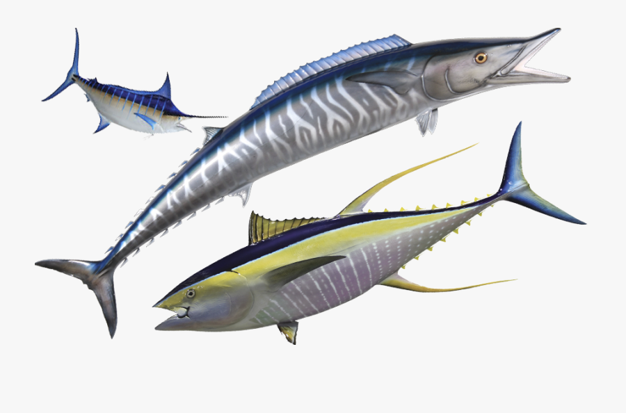 Fishing Mombasa Kenya With - Deep Sea Fishing Kenya, Transparent Clipart