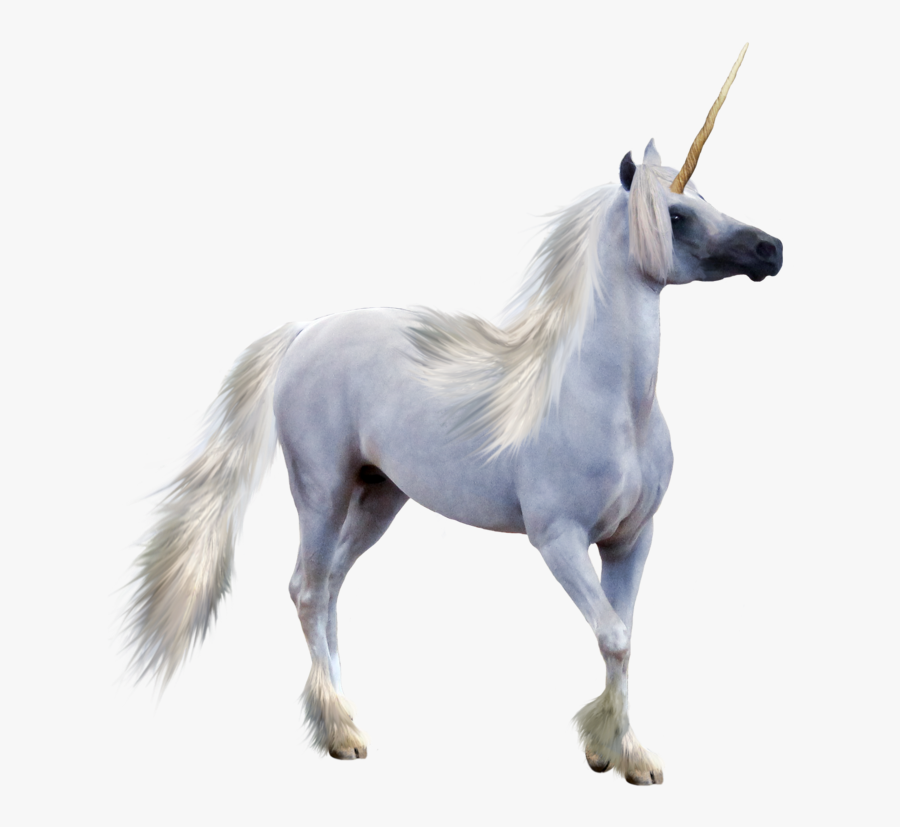 Winged Unicorn Pegasus - Realistic Transparent Background Unicorn Png, Transparent Clipart