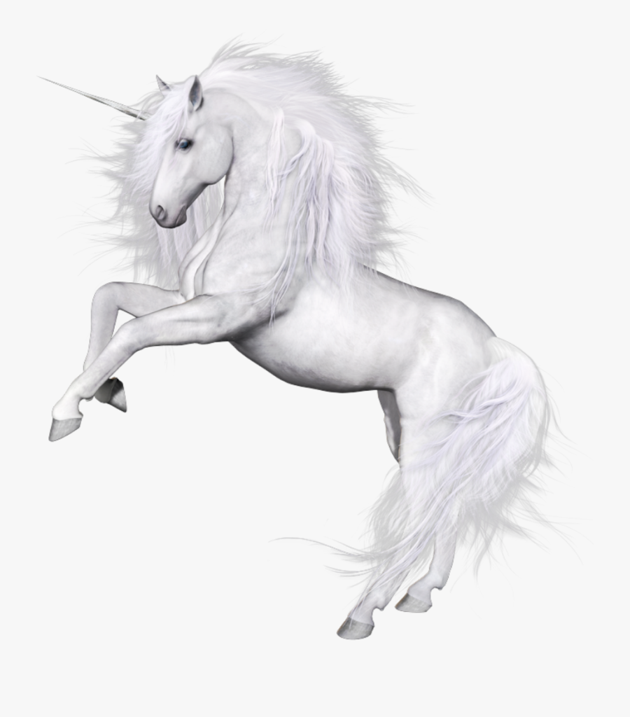 Unicorn Png - Единорог Картинки На Черном Фоне, Transparent Clipart