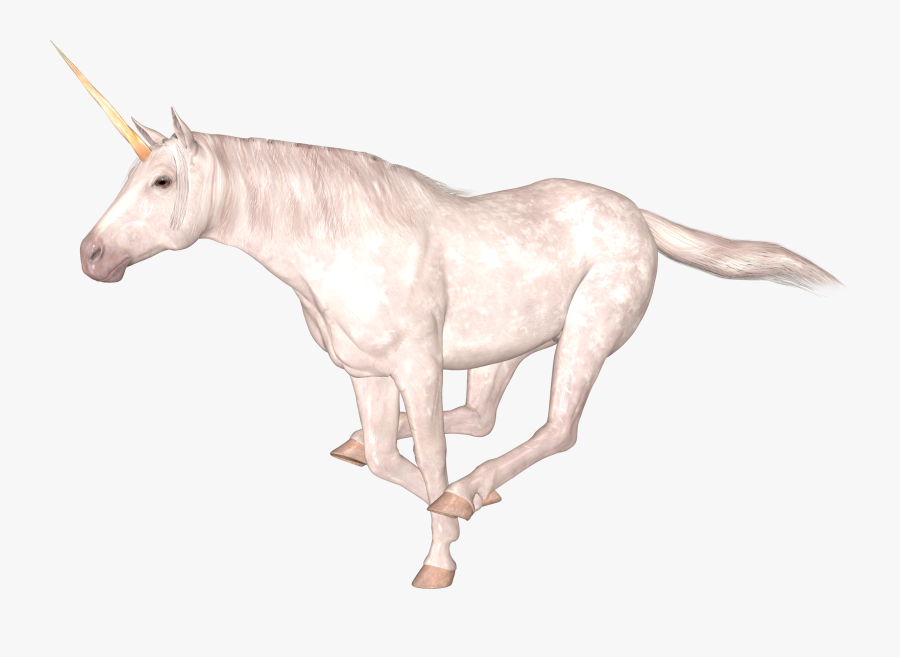Unicorn Png, Transparent Clipart