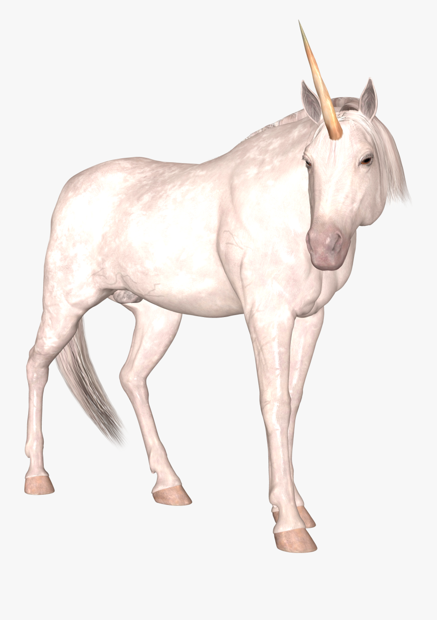 Unicorn Png - Unicorn, Transparent Clipart