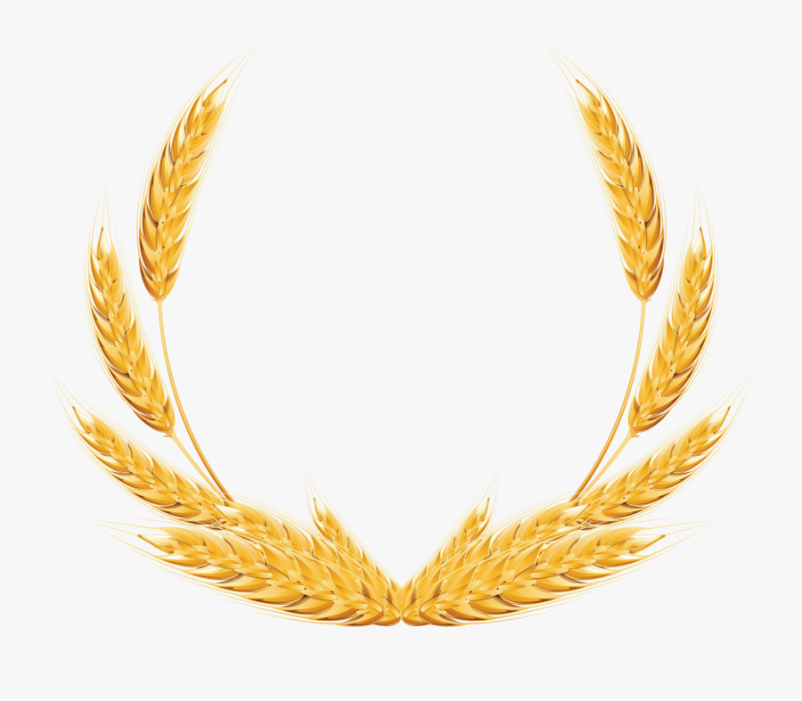 Wheat Png Image - Wheat Png, Transparent Clipart