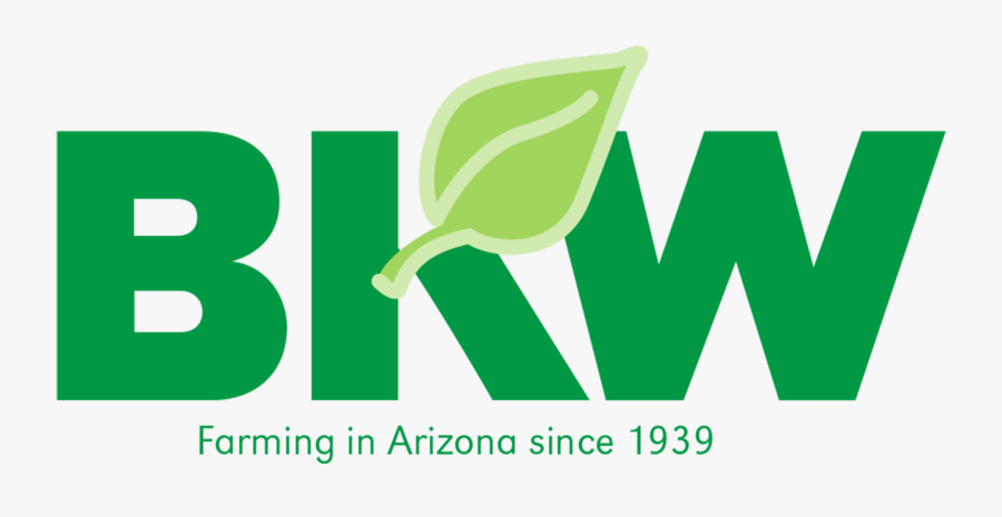 Graphic Design, Transparent Clipart