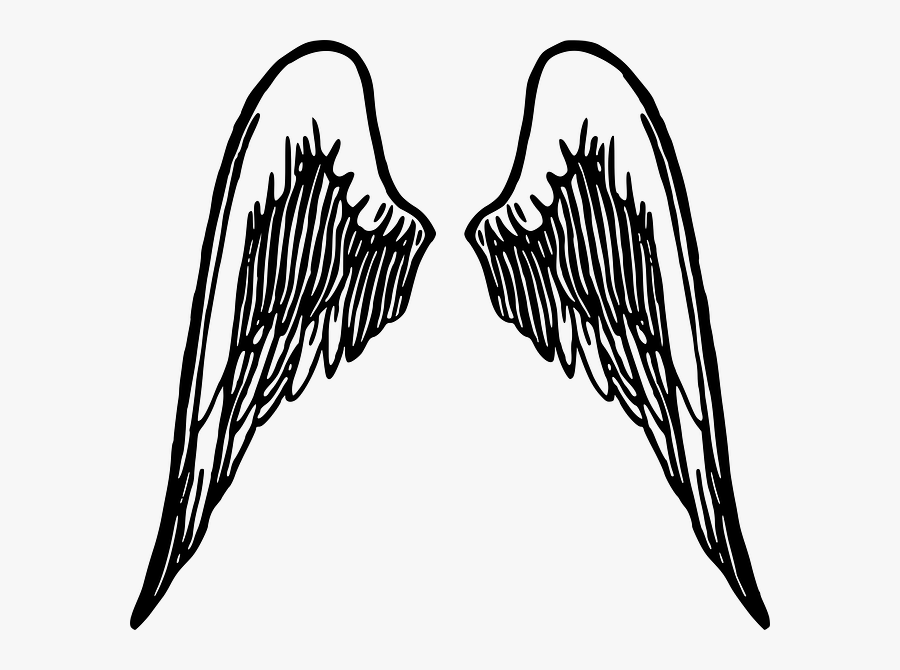 How To Draw Wings Angel Wings Clip Art, Angel Wings - Cartoon Angel Wings Transparent Background, Transparent Clipart