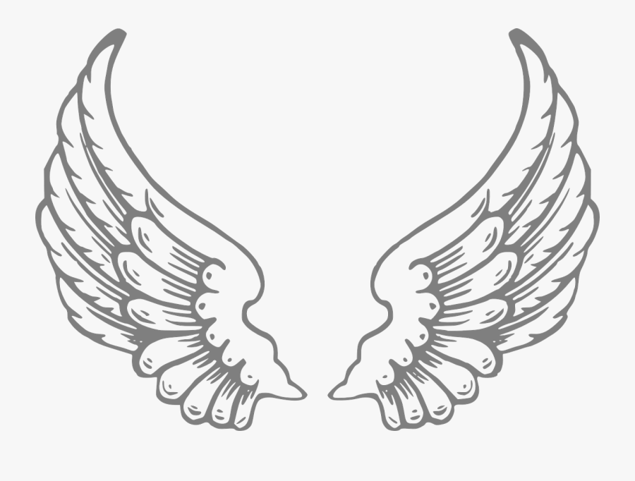 Wings Angels Feathers Free Photo - Angel Wings, Transparent Clipart