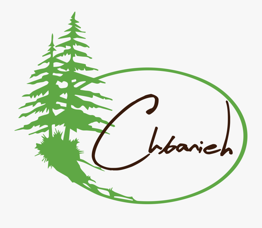 Pine Trees Drawing Easy Clipart , Png Download - Vector Pine Tree Clipart, Transparent Clipart