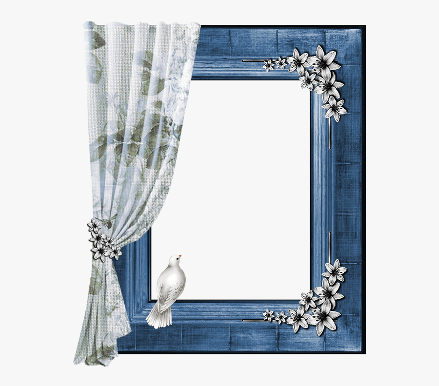 Moon, Transparent Clipart